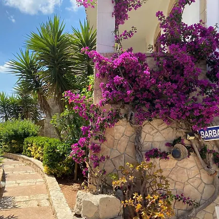 Elena - Seafront & Comfort By Salento Prime Torre Vado
